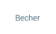 Becher