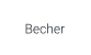 Becher